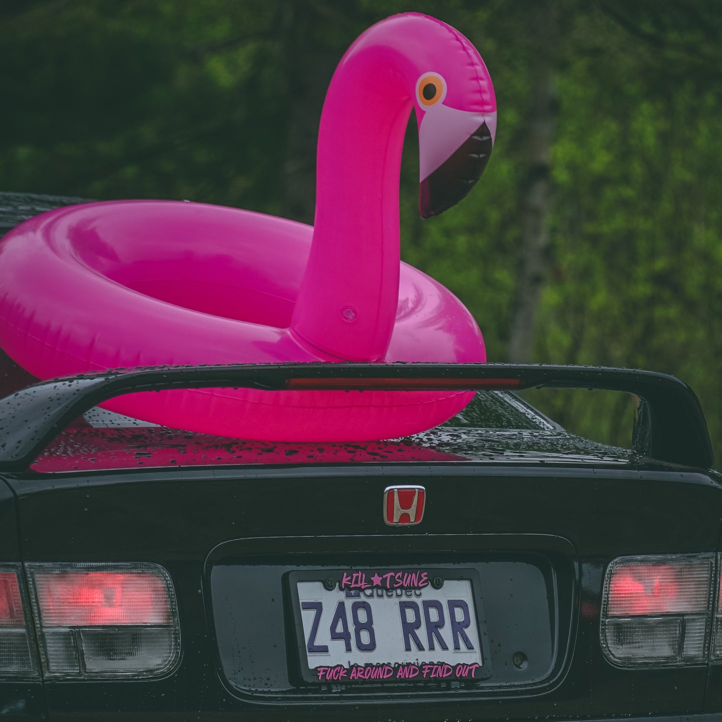 PINK ☆ LICENSE PLATE FRAME